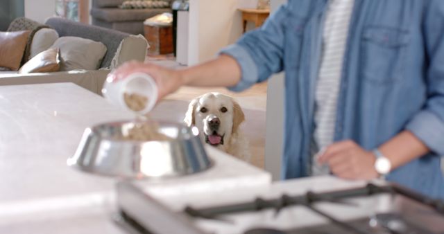 A scene of a person pouring dog food into a bowl while a Golden Retriever looks on eagerly. Ideal for use in contexts related to pet care, dog food advertisements, and articles about responsible pet ownership and feeding routines.
