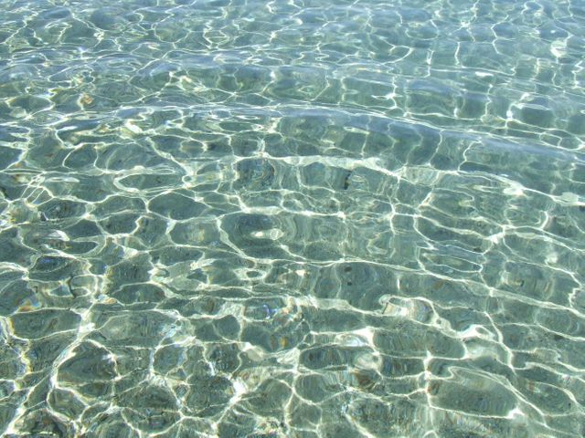 Crystal Clear Shallow Water with Sunlight Reflections - Download Free Stock Photos Pikwizard.com