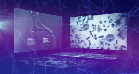 Network Connections and Data Flow in Digital Interface