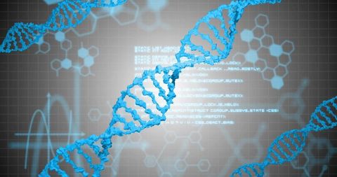 Blue dna double helix rotating over digital grid with hexagon motifs, ecg waveform, code