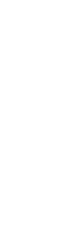 Silhouette of Woman Hydrating with Water Bottle on Transparent Background