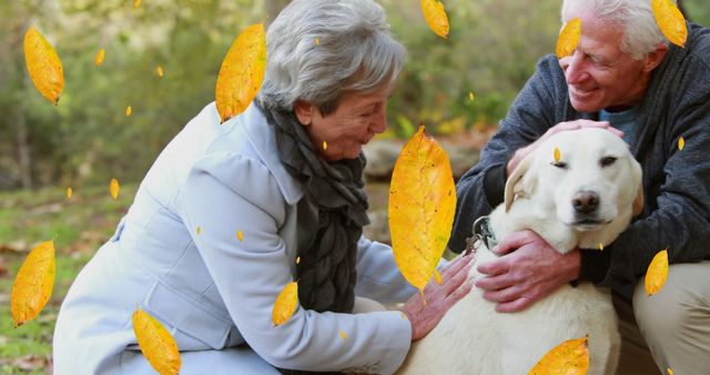 Digital composition of autumn leaves falling over senior caucasian couple playing with dog at park. thanksgiving day celebration and autumn season concept