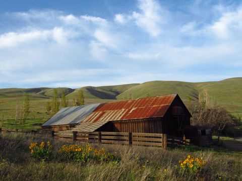 Rustic Barn in Rolling Hills with Wildflowers at Sunrise