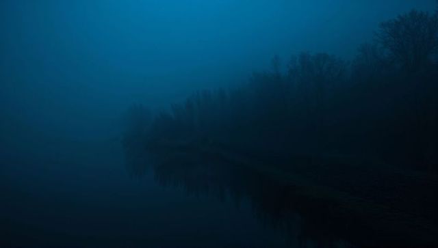 Foggy twilight riverside with silhouetted bare trees reflecting on calm water