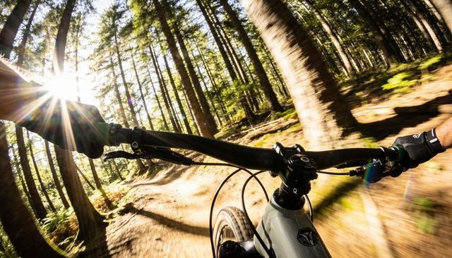 Riding through sunlit pine forest on mountain bike with dynamic motion blur and sun flare