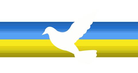 Dove of Peace Over Ukrainian Flag Sky Blue Yellow