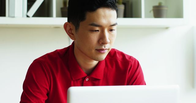 Young Man Concentrating on Laptop in Office Environment - Download Free Stock Images Pikwizard.com