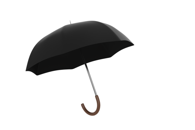 Open Black Umbrella on Transparent Background - Download Free Stock Videos Pikwizard.com