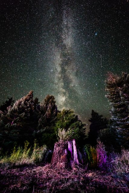 Colorful Milky Way Horizon with Forest Silhouette - Download Free Stock Images Pikwizard.com