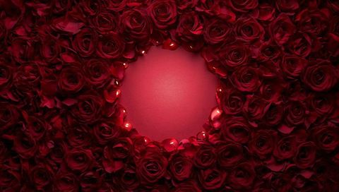 Dense Ring of Red Rose Heads Framing Circular Matte Center with Water Droplets