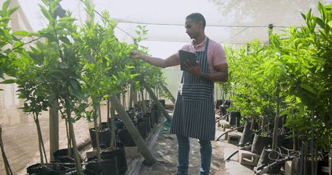 Modern Gardener Uses Tablet in Sustainable Horticulture