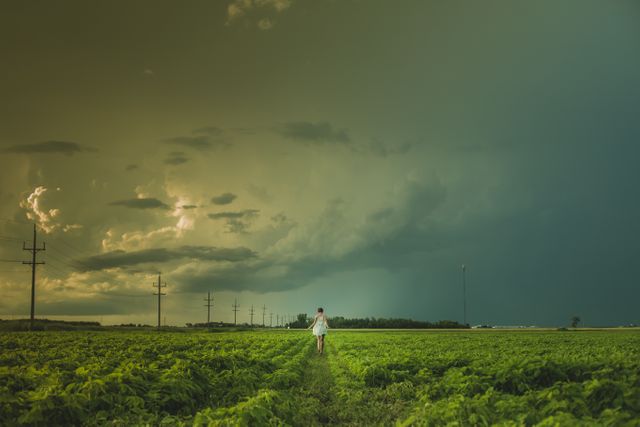 Person walking through a lush green field under a dramatic, cloudy sky. Use for themes related to nature, countryside living, agriculture, rural landscapes, adventure, and solitude.