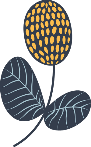 Stylized Plant Element with Leaves and Rounded Flower Transparent