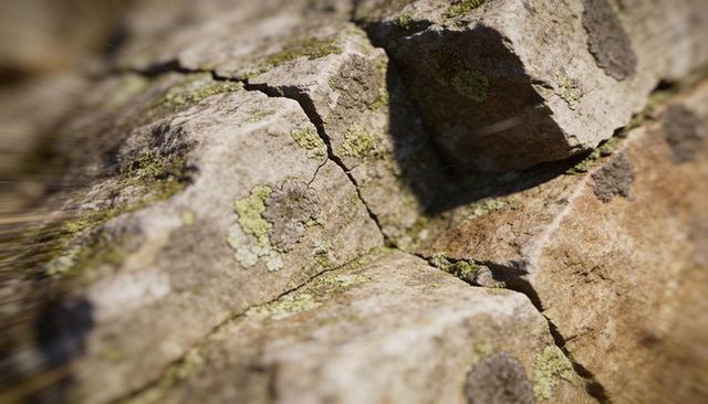 Lichen-covered fractured rock macro closeup showing weathered texture and moss patches