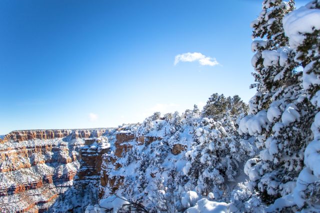 Image depicts a clear winter day at the Grand Canyon with snow-covered trees and cliffs. It can be used for promoting travel destinations, winter adventures, winter landscapes, nature photography, and outdoor activities. Suitable for travel brochures, winter holiday promotions, and educational materials about natural wonders.