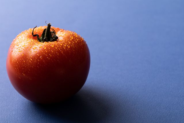 Close-up of a fresh red tomato with water droplets on a blue background. Ideal for use in food blogs, healthy eating promotions, organic produce advertisements, and nutrition-related content. The vibrant colors and simplicity make it suitable for various marketing materials and educational resources about vegetables and healthy diets.