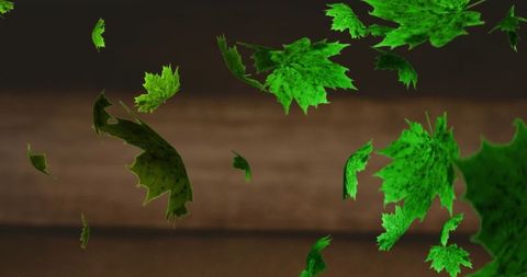 Floating Bright Green Leaves on Dark Background