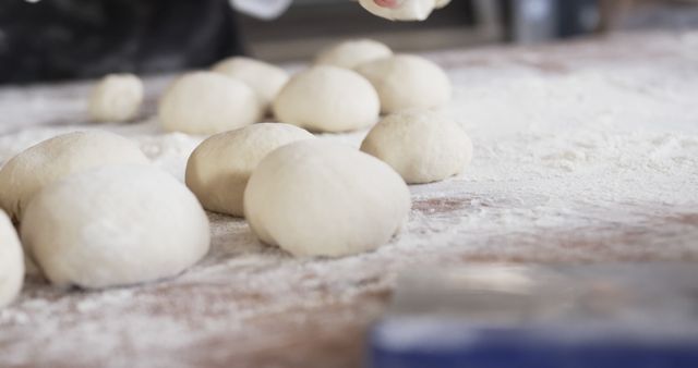 Fresh Dough Balls on Floured Table in Bakery - Download Free Stock Images Pikwizard.com