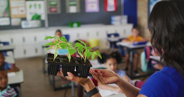 Biracial female teacher standing in classroom asking questions abount plant during biology lesson. children at primary school.