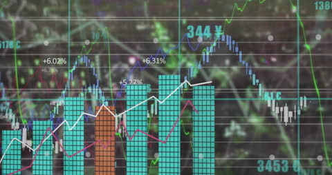 Dynamic Finance Chart with Data Visualizations