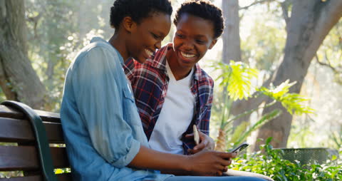 Joyful African American Twin Sisters Using Smartphone in Park