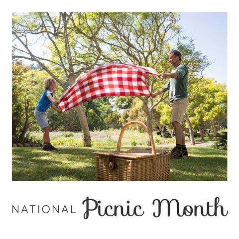 Father and Son Celebrating National Picnic Month Outdoors