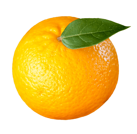 fresh orange fruit with leaf on transparent background - Download Free Stock Videos Pikwizard.com
