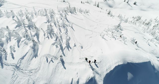 Aerial View of Skiers on Pristine Snowy Mountain Slope - Download Free Stock Images Pikwizard.com