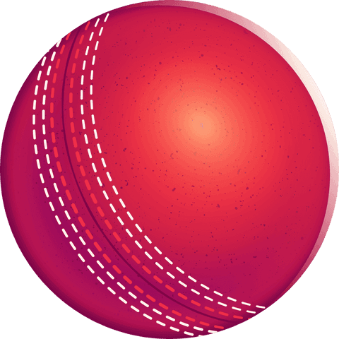 Vibrant Red Cricket Ball Spin on Transparent Background - Download Free Stock Videos Pikwizard.com