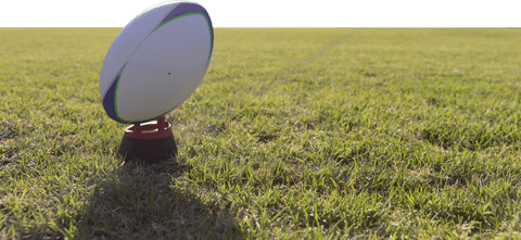 Rugby Ball in Stadium on Grass with Transparent Background - Download Free Stock Videos Pikwizard.com