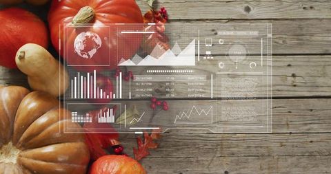 Showcasing autumn harvest: pumpkins and gourds with futuristic HUD overlay on rustic wood