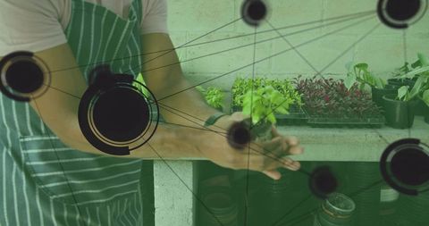 Gardener Inspecting Seedling at Greenhouse Bench with Data Overlay, Agtech Sustainability