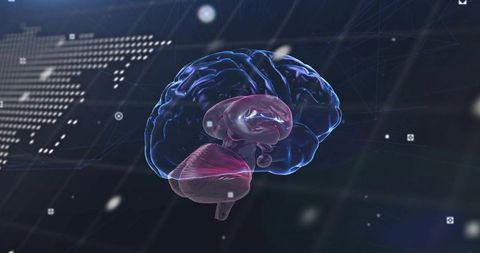 Futuristic Digital Brain Model with Neural Network Overlay