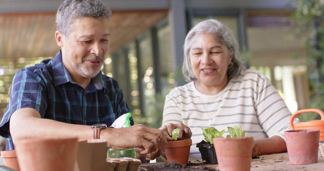 Happy diverse senior couple sitting at table and planting plants to pots on porch. Retirement, leisure, togetherness, gardening, plants and nature concept, unaltered.