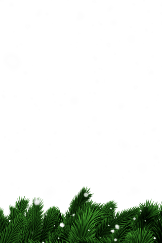 transparent snow with green fir borders and snowflakes - Download Free Stock Videos Pikwizard.com