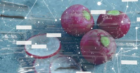 Futuristic radish cluster showing sliced halves with digital network overlay on countertop