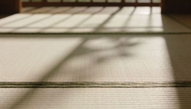 Sunlight streaming through shoji casting grid shadows and plant silhouette on tatami mats