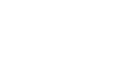 hands holding program text concept on transparent background - Download Free Stock Videos Pikwizard.com