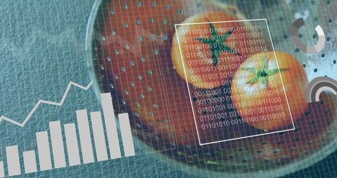 Tech infused culinary concept with halved tomatoes