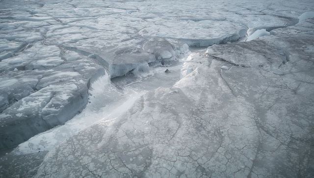 Polar glacier revealing deep crevasses, melt channels and cracked icefield texture