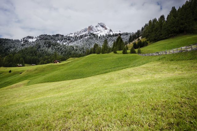 Peaceful Alpine scene featuring lush green fields, forests, and snow-capped mountains. Ideal for background themes emphasizing nature, serenity, and scenic beauty. Perfect for travel promotions, nature blogs, and environmental projects.