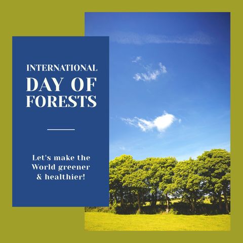 International Day of Forests Celebration with Lush Trees and Blue Sky - Download Free Stock Templates Pikwizard.com