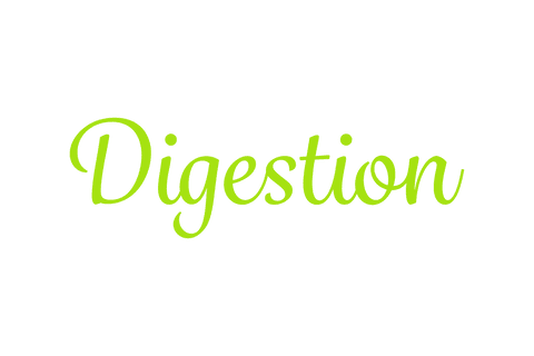 digestion text illustration on transparent background - Download Free Stock Videos Pikwizard.com