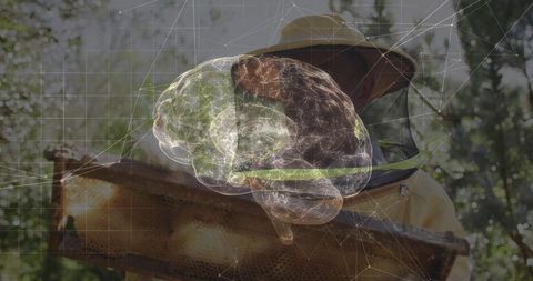 Beekeeper Holding Hive Frame with Holographic Brain Overlay Linking Apiculture to Neurotech