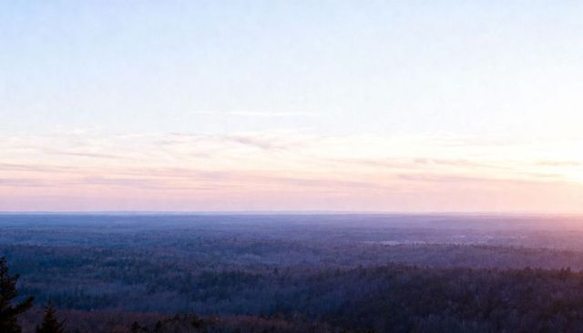 Sunrise Mist Stretching Over Layered Forest Canopy, Panoramic Wilderness Horizon