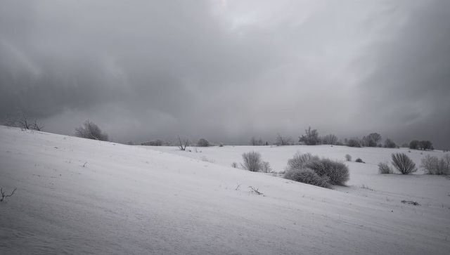 Frost-covered rolling hillside under heavy overcast sky, desolate winter landscape