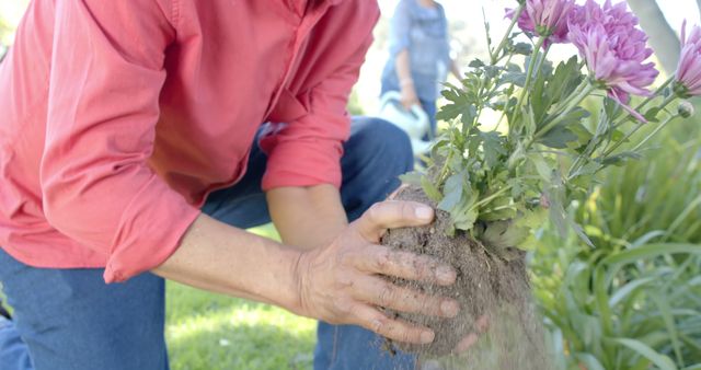 Senior person planting flowers in garden, showing enjoyment of nature and gardening as a pastime. Suitable for content related to outdoor hobbies, senior activities, gardening tips, and a healthy lifestyle for older adults.