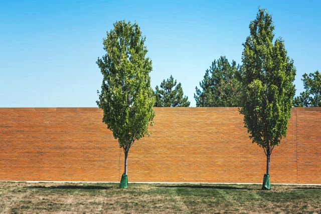Two green trees standing in front of a minimalist brick wall under a clear blue sky. Perfect for use in environmental campaigns, urban planning presentations, or as background for outdoor garden design projects.