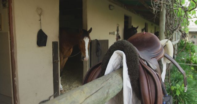 Horse Stables Interior with Saddles Hanging on Fence - Download Free Stock Images Pikwizard.com