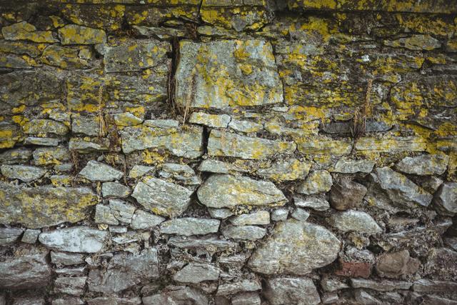 This image shows a weathered stone wall covered with moss and lichen, creating a rustic and natural texture. Ideal for use in backgrounds, architectural studies, historical references, or nature-themed projects. The rough and aged appearance adds character and depth to any design.
